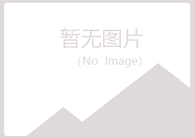 龙山区如波会计有限公司